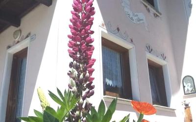 Appartamento - Piano Terra