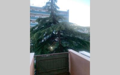 Appartamento con 1 Camera da Letto