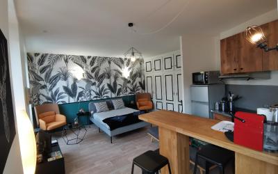 Appartement 1 Chambre