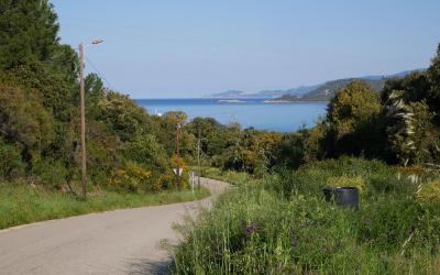 Appartement 1 Chambre