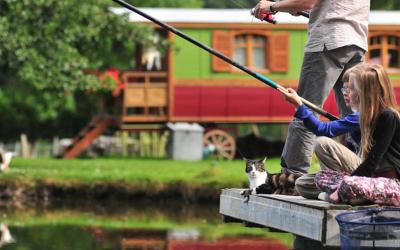 Mobile Home Mobile Home