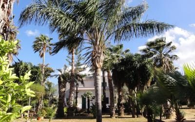 Casa con 2 Camere da Letto e Vista Mare - Su 2 Livelli