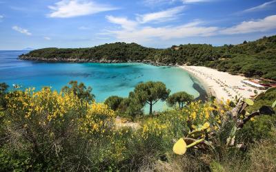 Appartamento con 1 Camera da Letto