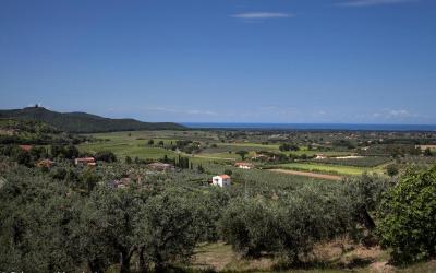 Appartamento con 1 Camera da Letto