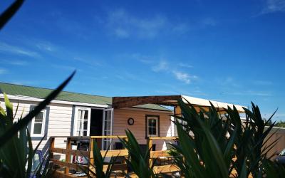 Mobile Home