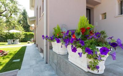 Appartamento con 1 Camera da Letto