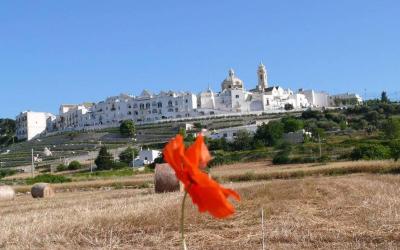 Casa con 1 Camera da Letto