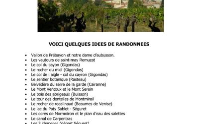 Appartement 1 Chambre Appartement 1 Chambre