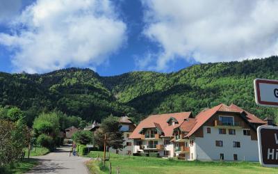 Appartement 1 Chambre Appartement 1 Chambre