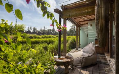 Suite 1 Kamar Tidur dengan Pemandangan Sawah & Manfaat Gratis Suite 1 Kamar Tidur dengan Pemandangan Sawah & Manfaat Gratis