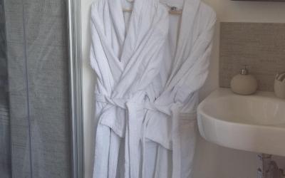 Chambre Lits Jumeaux avec Douche 