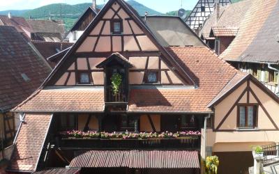 Appartement 1 Chambre