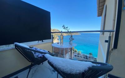 Appartement 1 Chambre