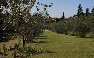 Camera Familiare con Balcone