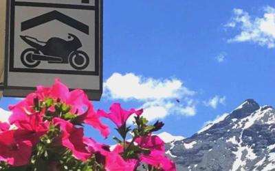 Chambre Simple Chambre Simple