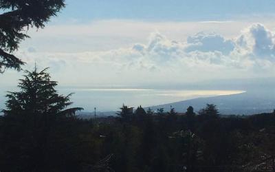 Camera Quadrupla su 2 Livelli