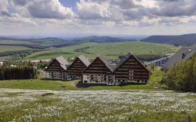 Appartement 1 Chambre Appartement 1 Chambre
