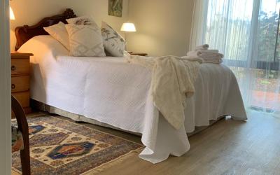 Deluxe Queen Room with Garden View