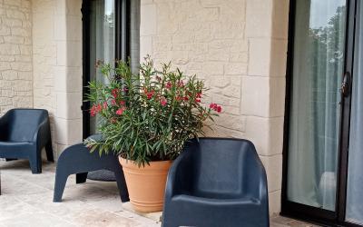 Chambre Double ou Lits Jumeaux - Vue sur Piscine Chambre Double ou Lits Jumeaux - Vue sur Piscine