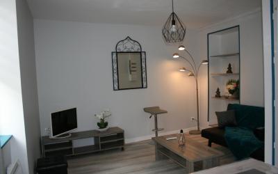 Appartement 1 Chambre