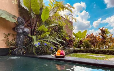 Vila Superior dengan Kolam Renang Pribadi dan Pemandangan Sawah