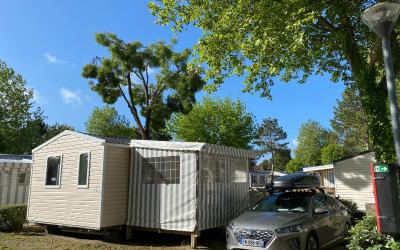 Mobile Home