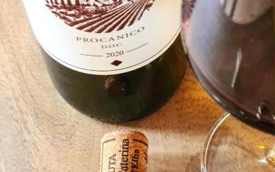 Camera King Standard