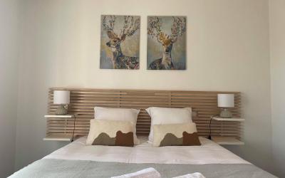 Appartement 1 Chambre