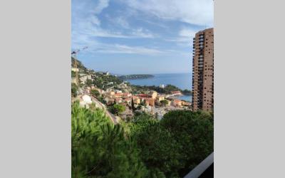 Appartement 1 Chambre