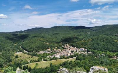 Chambre Lits Jumeaux avec Salle de Bains Privative