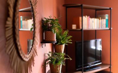 Appartement 1 Chambre