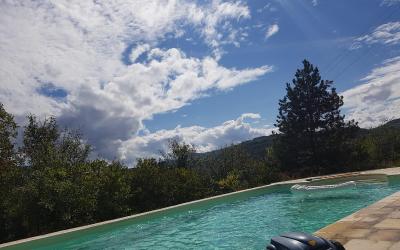 Appartement 1 Chambre