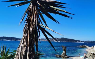 Appartement 1 Chambre