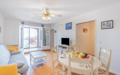 Appartement 1 Chambre