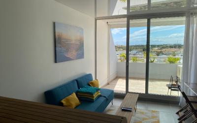 Appartement 1 Chambre