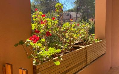 Appartamento Monolocale