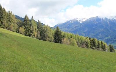 Appartamento con 1 Camera da Letto