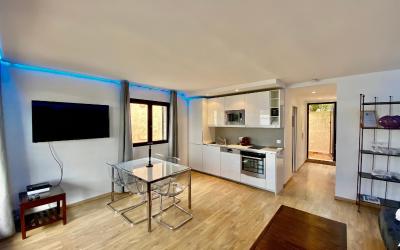 Appartement 1 Chambre