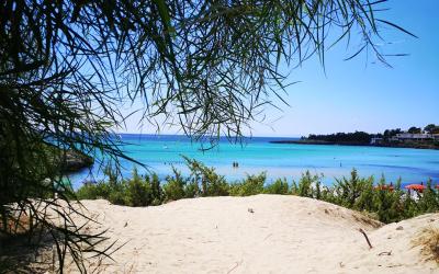 Appartamento con 1 Camera da Letto