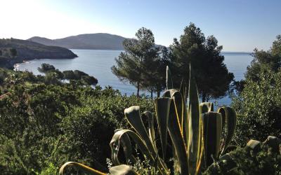 Camera Tripla Standard con Vista Giardino 