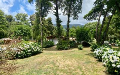 Emplacement de Camping Vide (Tente non Fournie) Emplacement de Camping Vide (Tente non Fournie)