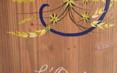 Studio (3 Adultes) Studio (3 Adultes)