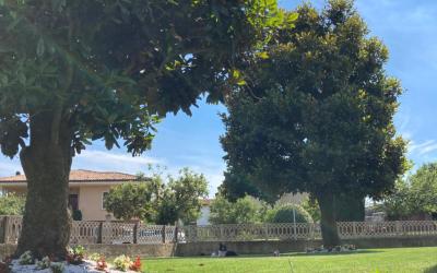 Camera Matrimoniale con Vista Giardino