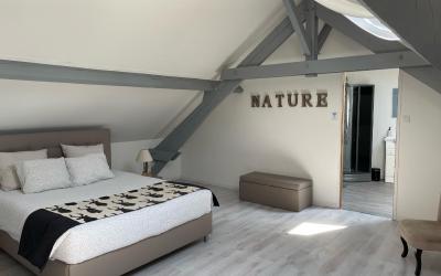 Chambre Supu00e9rieure Lit Queen-Size