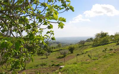 Casa con 1 Camera da Letto