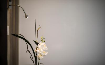 Camera Matrimoniale/Doppia con Letti Singoli