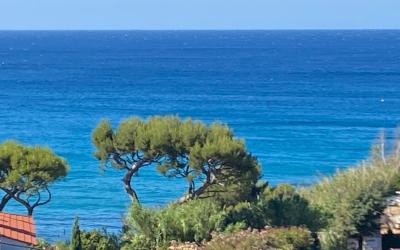 Appartement 1 Chambre Appartement 1 Chambre