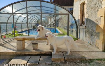 Chambre Deluxe Double ou Lits Jumeaux