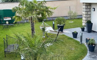 Chalet 1 Chambre Chalet 1 Chambre