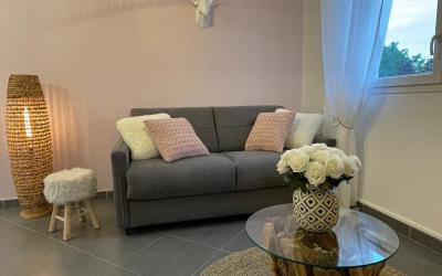 Appartement 1 Chambre